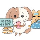 묘냥묘냥 이미지