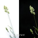 백사진관 이미지