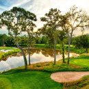 파인골프클럽 이미지