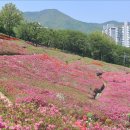 초막골 생태공원 이미지