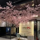 앤유PC방 이미지