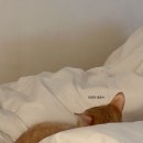 가나정육점식당 이미지