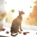 신탄진동물병원 이미지