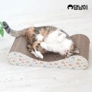 고양이 - 동해시 한섬로 128 | 고양이