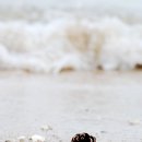 추억이 있는 바다 이미지