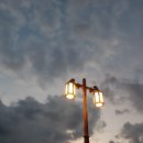 정선곤드레쌈밥 이미지