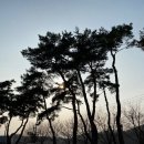 소나무 노래연습장 이미지