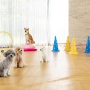 신용유치원 이미지