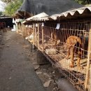 광주농장2 이미지