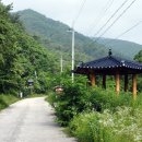 뒷골샘터 이미지