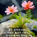 기원커피방 Daum카페