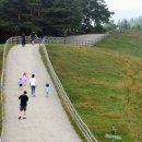 모자목장 이미지