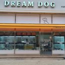 드림독 강아지분양 안심분양센터 인천점 이미지