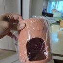 아이스캐슬 | [하늘다람쥐 유다돌] 무더운 여름날을 이겨내는 방법(부켓스테이트 아이스 캐슬 후기포함)