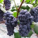 하비동물병원 이미지