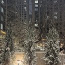 잠원동 미래빌딩 | 첫눈 메이플자이