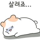 영아민박 이미지