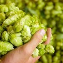 홉 호프 이미지