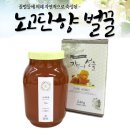 단향 이미지