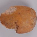 경상국립대학교박물관 이미지