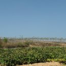 덕곡농장 이미지