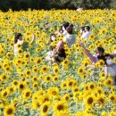 환경시설관리공사 달성사업소 이미지