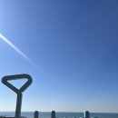 오이도뽑기방 | 제부도/대부도/오이도 2박3일 애견동반 여행코스 | 웨이브엠 호텔 웨스트 펫룸 후기