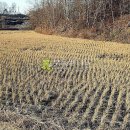 특구로27번길 이미지