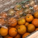 갱이농장 이미지