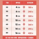 큰마당가든 | 세부 시티투어 츄비츄비 시라오가든 레아신전 코스 마지막날 후기