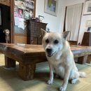 조은민박 이미지