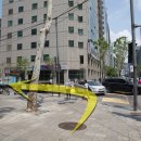 수림복국 이미지