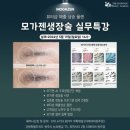 모셀러 이미지