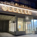 포포동물병원 이미지