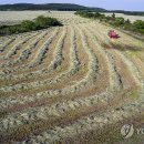 제동농장 이미지