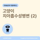 송정동물메디컬센터 이미지