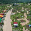 예천군 곤충나라 사과테마파크 오토캠핑장 이미지