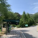 [담양] 가볼만한곳 광주 근교 계곡 한재골 근린공원 후기