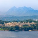 타지펠리스 이미지