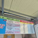 쥬라기체험