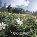 하이디알프스 이미지