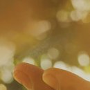 청운체육관 이미지