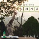 해와달다방 - 공주시 산성시장5길 78-29 | 당진 애견동반 여행지 TOP 5 캠핑에 최적화된 잔디마당