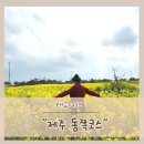 제주도 동쪽코스 성산 가볼만한곳 섭지코지 붉은오름-유채꽃재배단지 후기