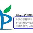 잎벌레 피해가 사라지는 텃밭과 거꾸로 된 친환경 농업정책 그리고 GAP 이미지