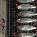 소리당민박 이미지