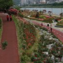 장미의거리 입구 이미지