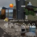 팜팜스테이 | 제주도 숙소 추천, 조천읍 숙소 팜팜스테이 에어비앤비 내돈내산 후기