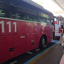 서귀포자연휴양림3 | 제주도 힐링 여행 | 피톤치드 가득한 한라산 둘레길 편백나무 숲 (서귀포자연휴양림 ~ 추억의 숲길 코스)