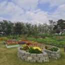 청춘농장 이미지